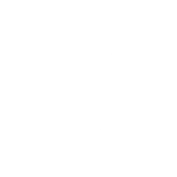 Rocketon